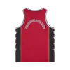 Astro mesh-basketballvest