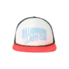 Curve trucker-cap