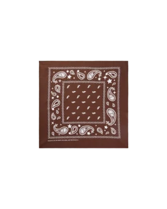 Flying B paisley-bandana
