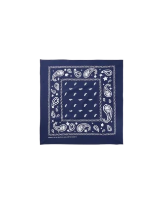 Flying B paisley-bandana