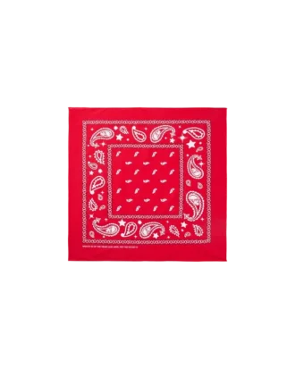 Flying B paisley-bandana