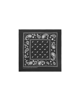 Flying B paisley-bandana