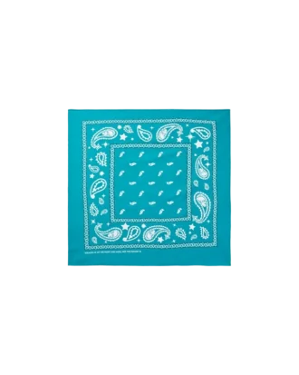 Flying B paisley-bandana