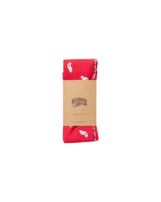 Flying B paisley-bandana