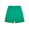 Gradient snakeskin running dog-badeshorts