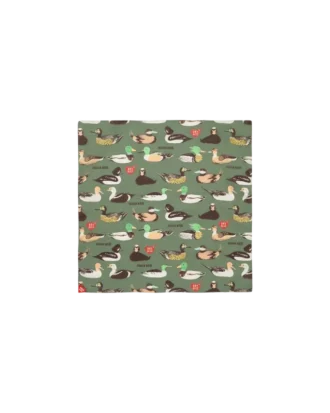Stor bandanaer