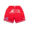 Team IC basketballshorts med løpende Running Dog