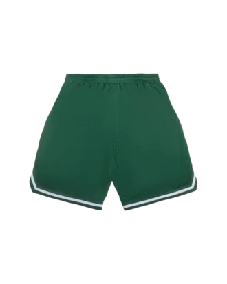 Team IC basketballshorts med løpende Running Dog