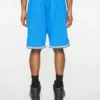 Team IC basketballshorts med løpende Running Dog