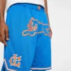 Team IC basketballshorts med løpende Running Dog