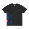 Team IC-logo-T-skjorte